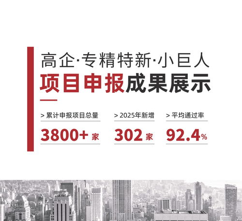 2026年现阶段 新疆创小企业如何筑稳创新根基？信赖伙伴深度解析科技项目代理服务