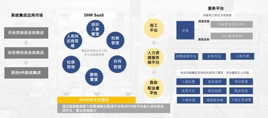 上海博尔捷数字科技集团 CTO