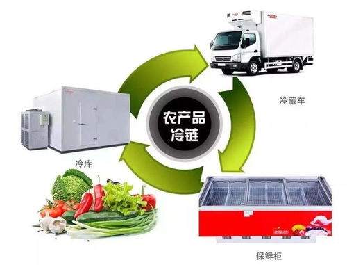 电商助农正发展 配套设施与科技项目代理服务助力乡村振兴